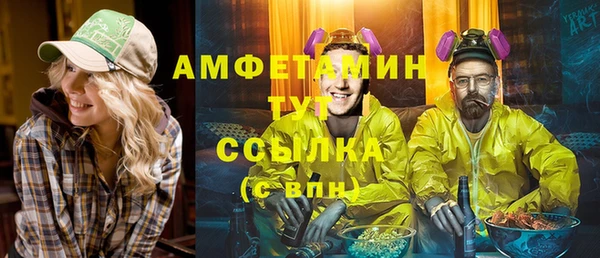 мет Елабуга