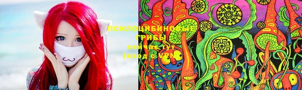 марки nbome Вяземский