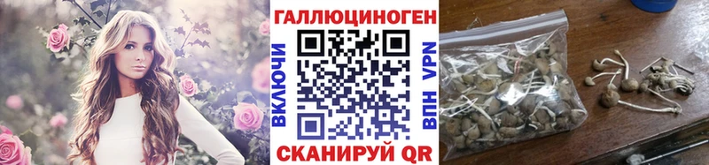 Псилоцибиновые грибы мухоморы  Купить  Куса 