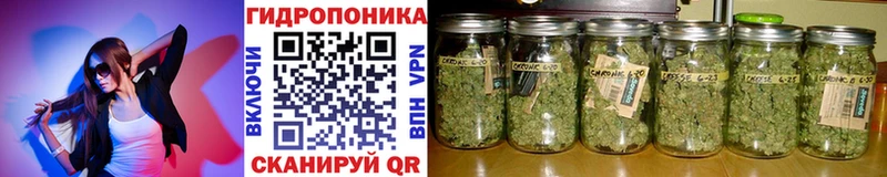 Конопля марихуана  Купить закладки  Куса 